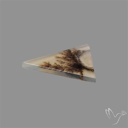 Scenic Agate Cabochon