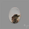 Scenic Agate Cabochon