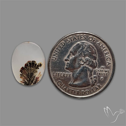 Scenic Agate Cabochon