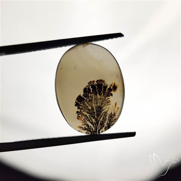 Scenic Agate Cabochon