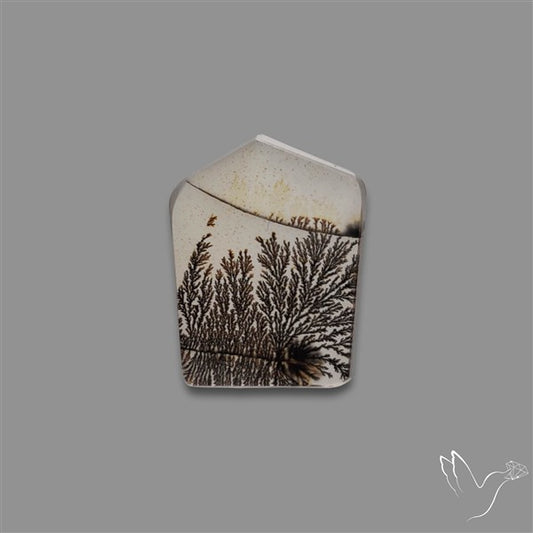 Scenic Agate Cabochon