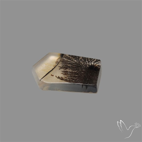 Scenic Agate Cabochon