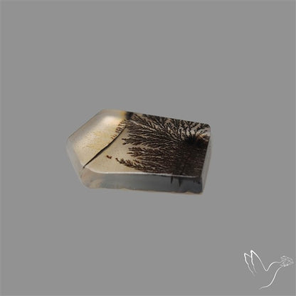 Scenic Agate Cabochon
