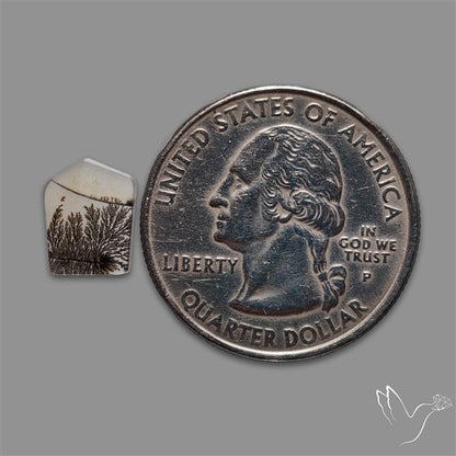 Scenic Agate Cabochon