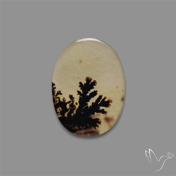 Scenic Agate Cabochon