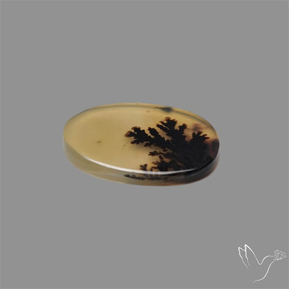 Scenic Agate Cabochon