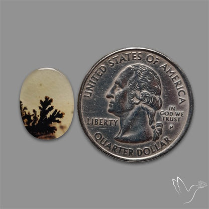 Scenic Agate Cabochon