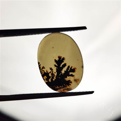 Scenic Agate Cabochon