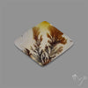 Scenic Agate Cabochon