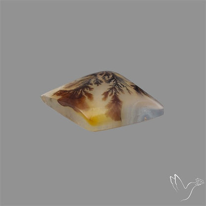 Scenic Agate Cabochon