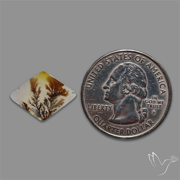 Scenic Agate Cabochon