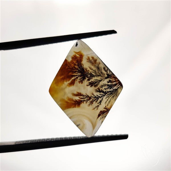 Scenic Agate Cabochon