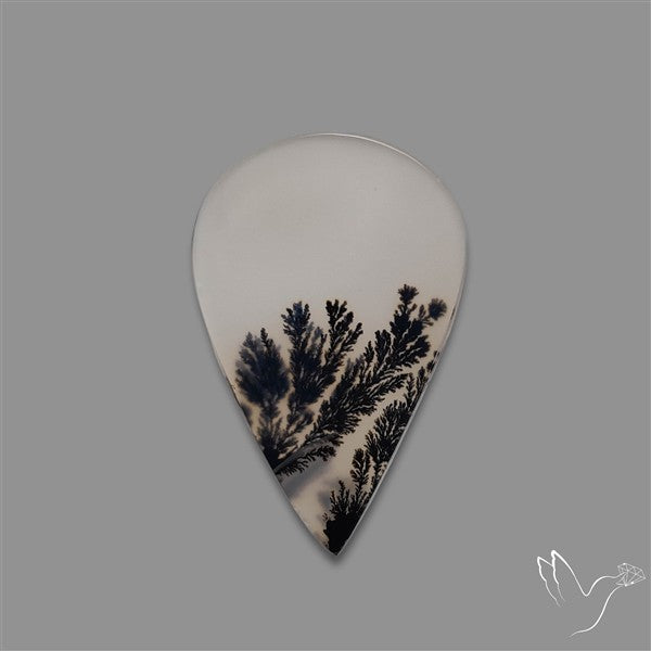 Scenic Agate Cabochon