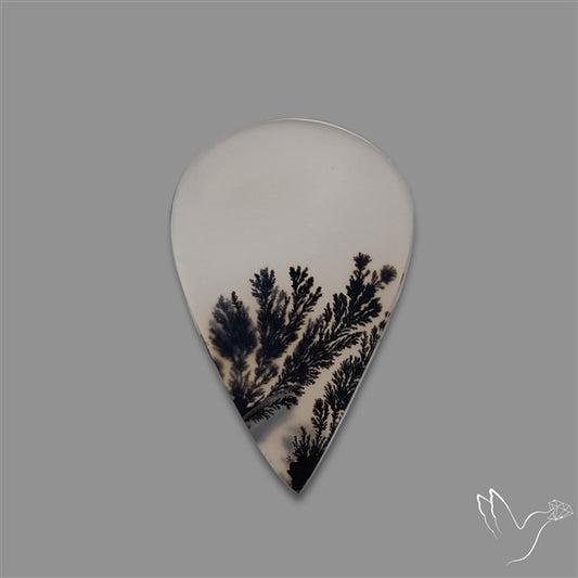 Scenic Agate Cabochon