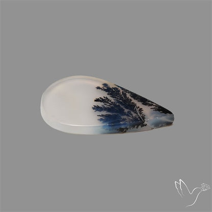 Scenic Agate Cabochon
