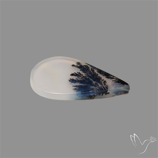 Scenic Agate Cabochon