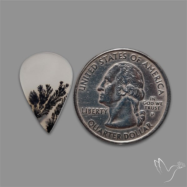 Scenic Agate Cabochon