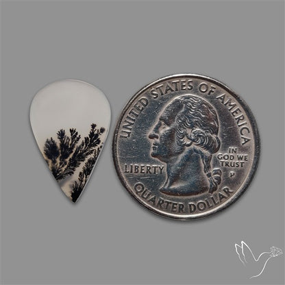 Scenic Agate Cabochon