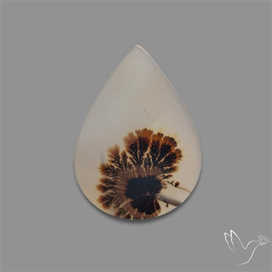 Scenic Agate Cabochon