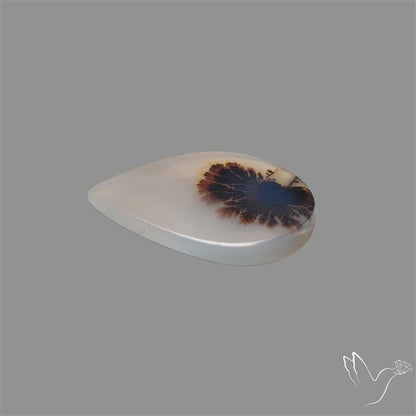 Scenic Agate Cabochon