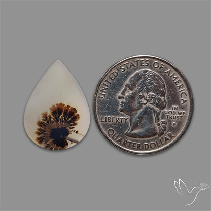 Scenic Agate Cabochon
