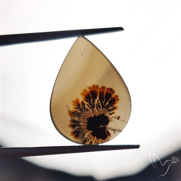 Scenic Agate Cabochon