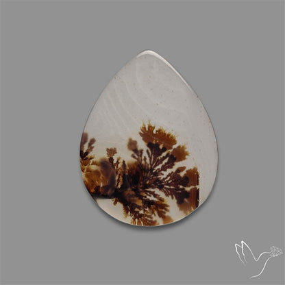 Scenic Agate Cabochon