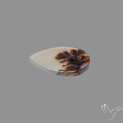 Scenic Agate Cabochon