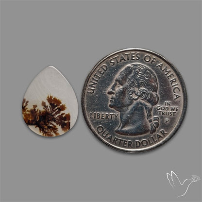 Scenic Agate Cabochon