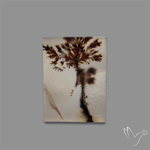 Scenic Agate Cabochon