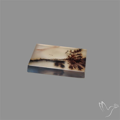 Scenic Agate Cabochon