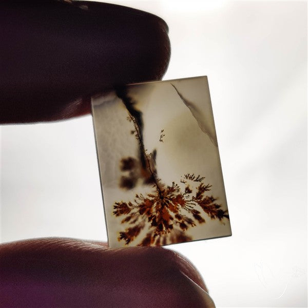Scenic Agate Cabochon