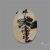 Scenic Agate Cabochon