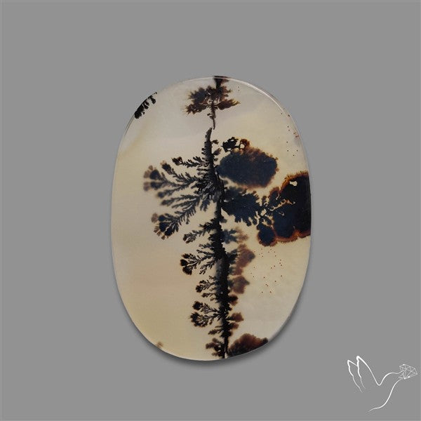 Scenic Agate Cabochon