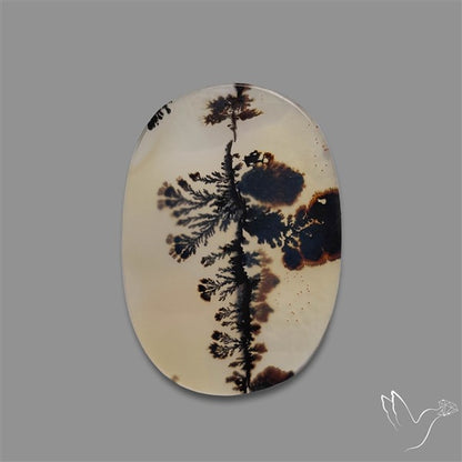 Scenic Agate Cabochon