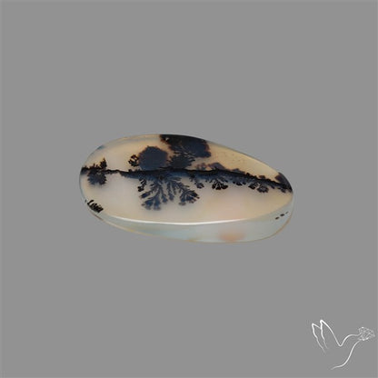 Scenic Agate Cabochon