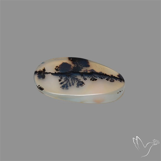 Scenic Agate Cabochon