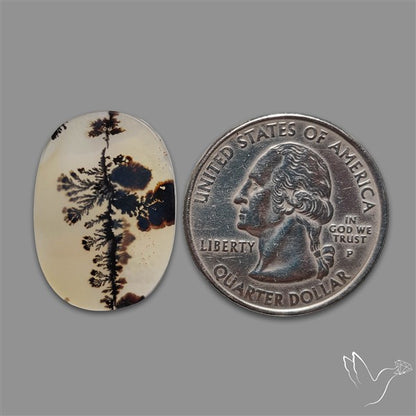 Scenic Agate Cabochon