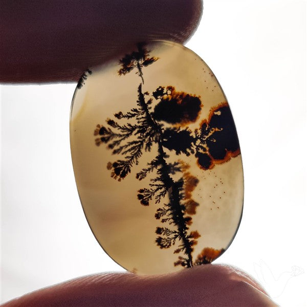 Scenic Agate Cabochon