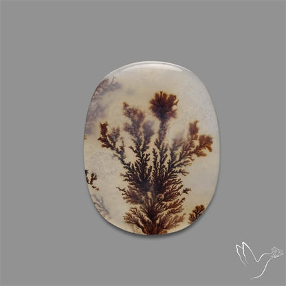 Scenic Agate Cabochon