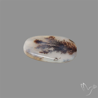 Scenic Agate Cabochon