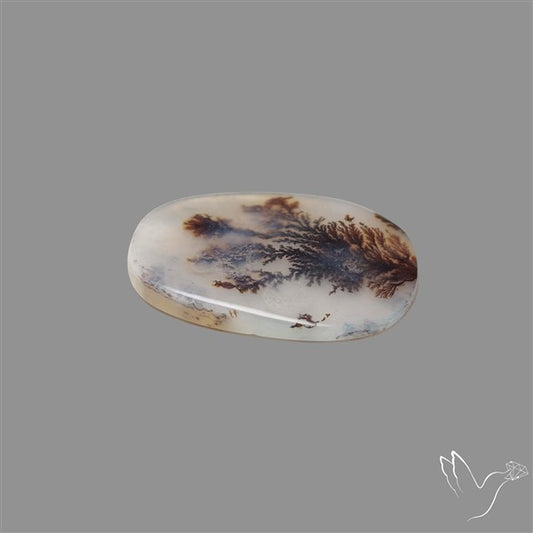 Scenic Agate Cabochon