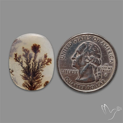 Scenic Agate Cabochon