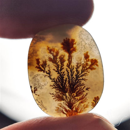 Scenic Agate Cabochon