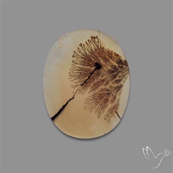 Scenic Agate Cabochon