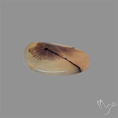 Scenic Agate Cabochon