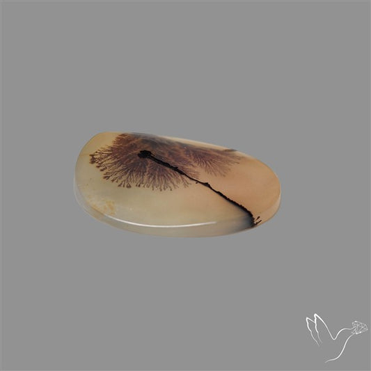 Scenic Agate Cabochon