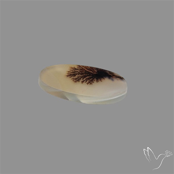 Scenic Agate Cabochon
