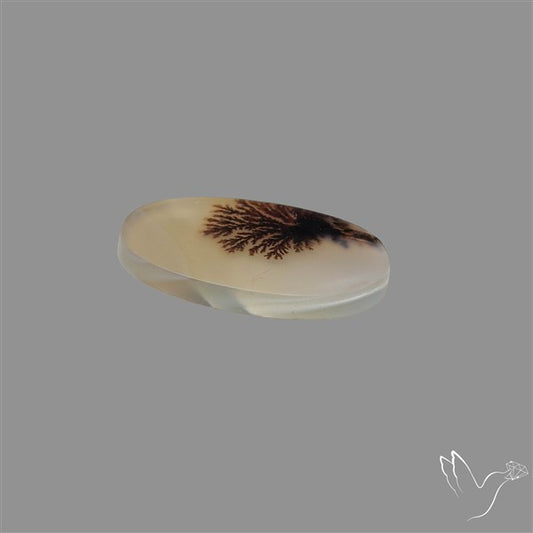Scenic Agate Cabochon