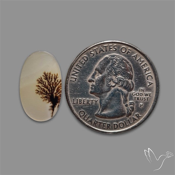 Scenic Agate Cabochon